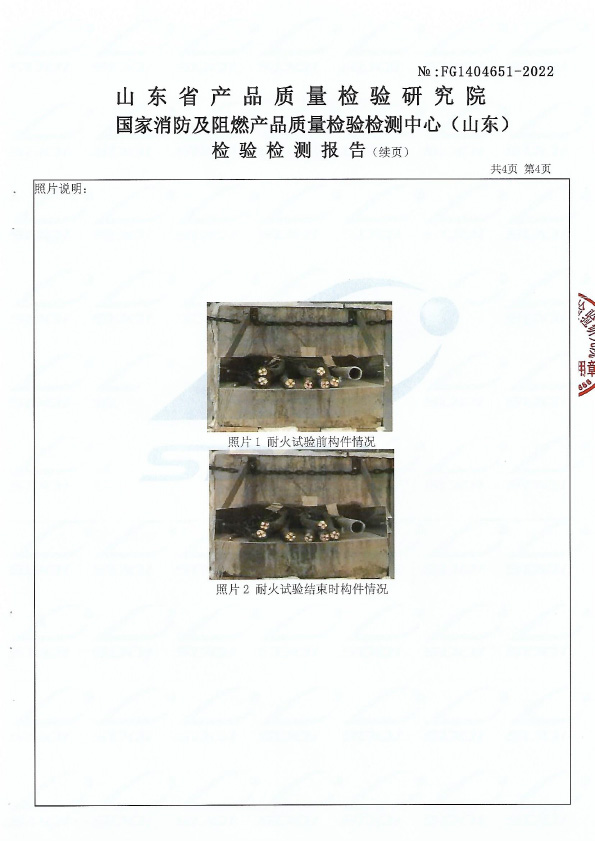 柔性有機(jī)堵料DR-A3型式試驗報告